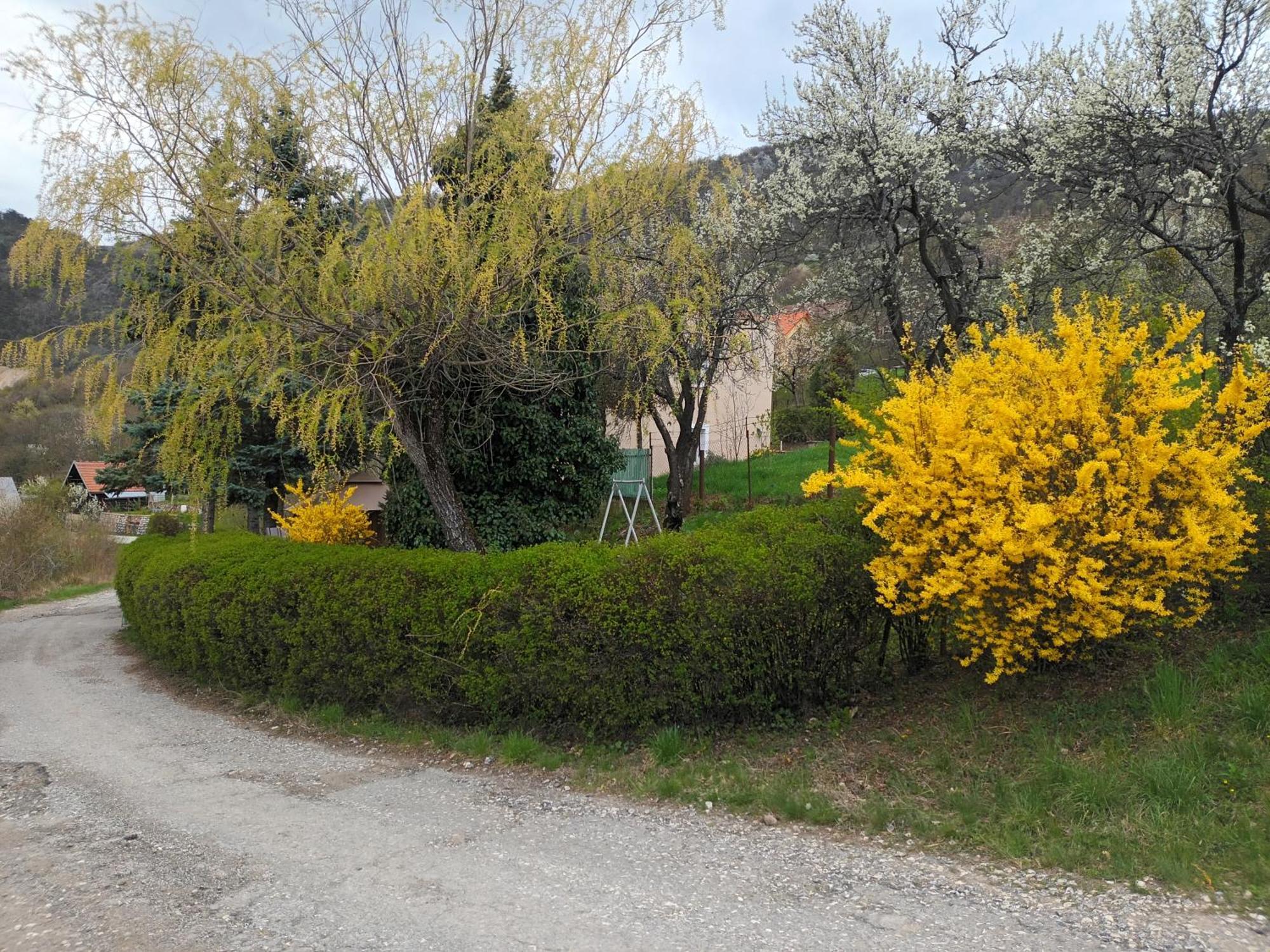 Villa Evetes Jablonov nad Turnou Экстерьер фото